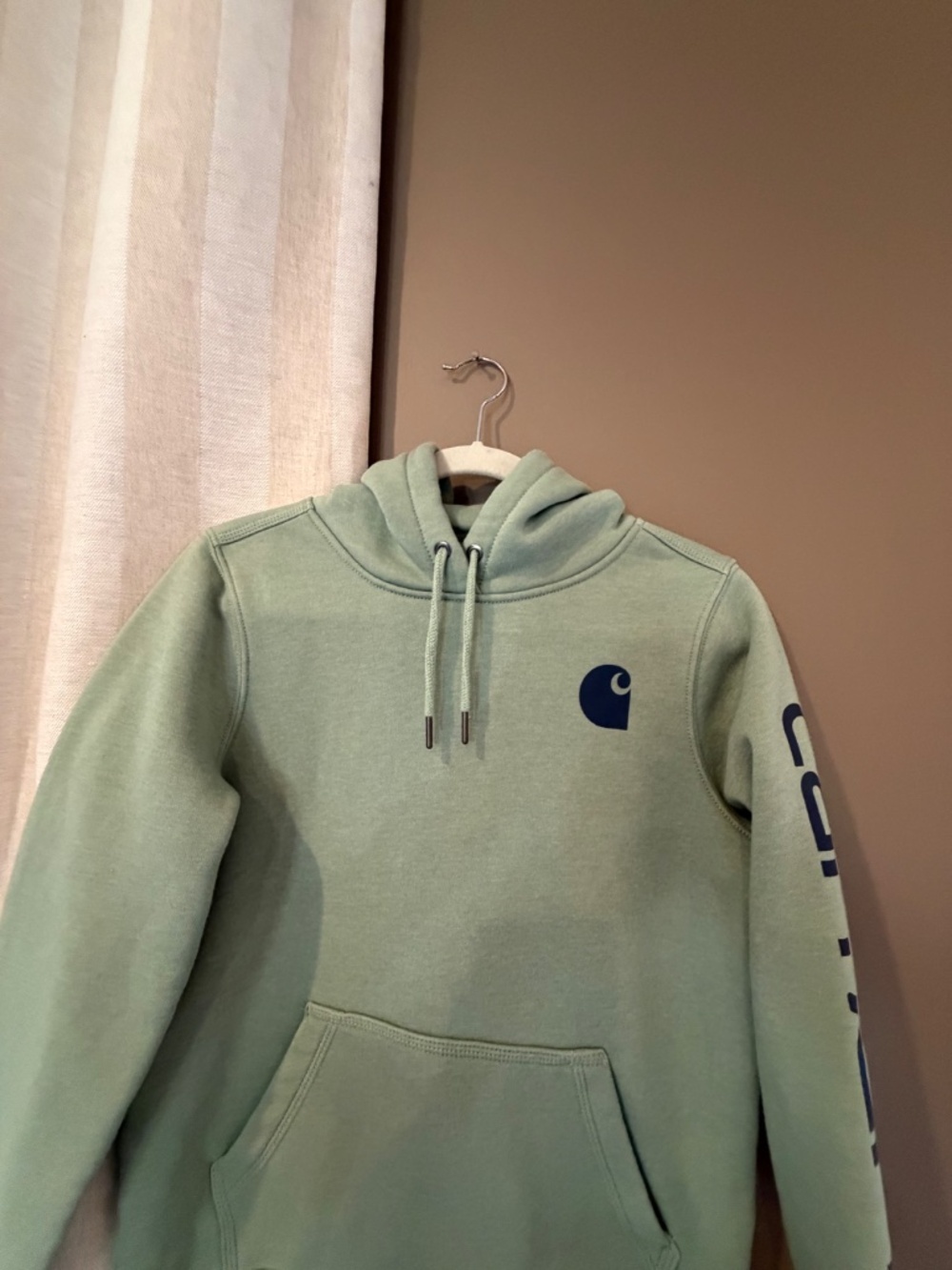Carhartt Sage Hoodie Sweatshirt with Sellout Sleeve, Size XS - Picture 3 of 14